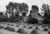 Rothe Mühle 4 von 6 Mini-Bildern