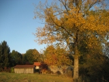 Rothe Mühle 8 von 13 Mini-Bildern